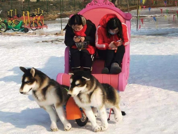 河北衡水市戲雪樂園